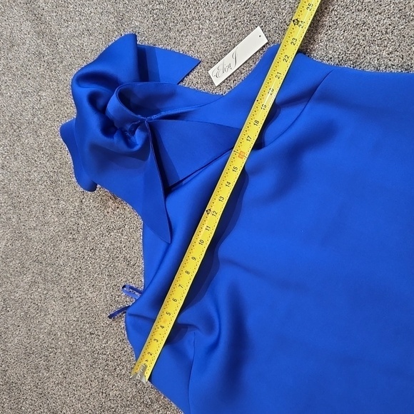 NWT Eliza J Plus Size Scuba Sleeveless Ruffle One Shoulder Sheath Dress sz 24W - Picture 5 of 10